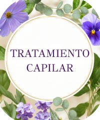 Tratamiento Capilar